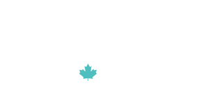 light logo